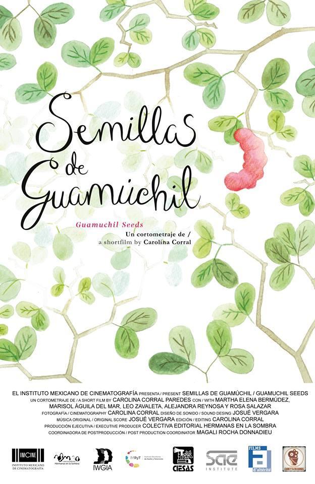 Semillas de guamúchil (C)