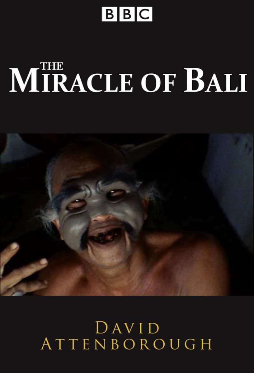 The Miracle of Bali (Miniserie de TV)