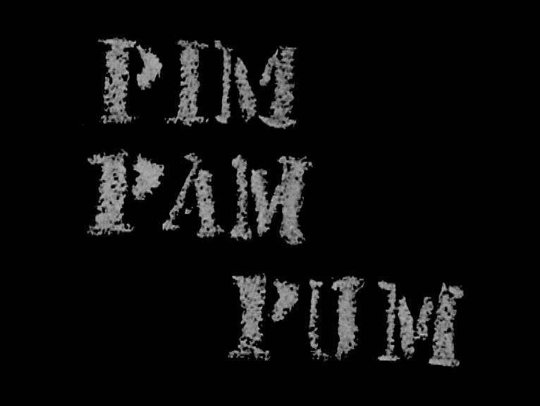 Pim pam pum revolución (S)