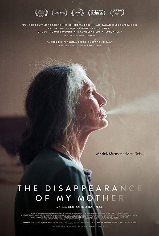 The Disappearance of My Mother