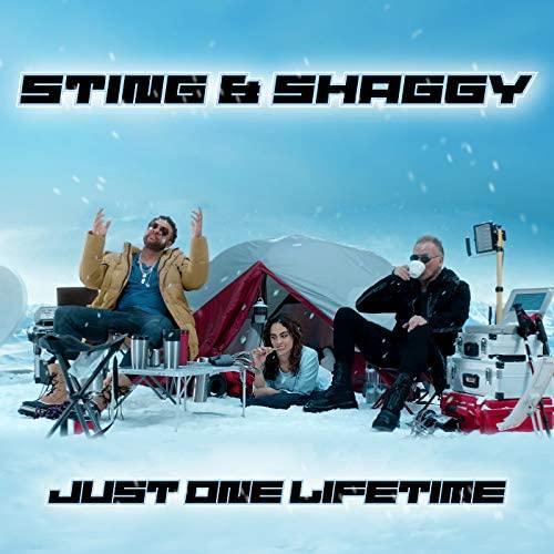 Sting & Shaggy: Just One Lifetime (Vídeo musical)