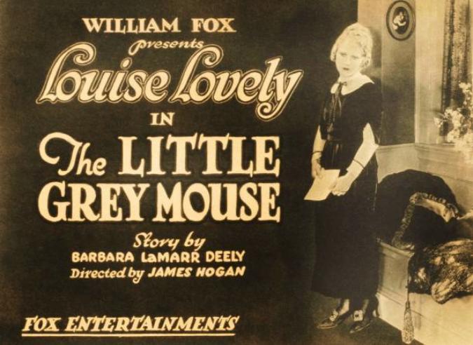 The Little Grey Mouse