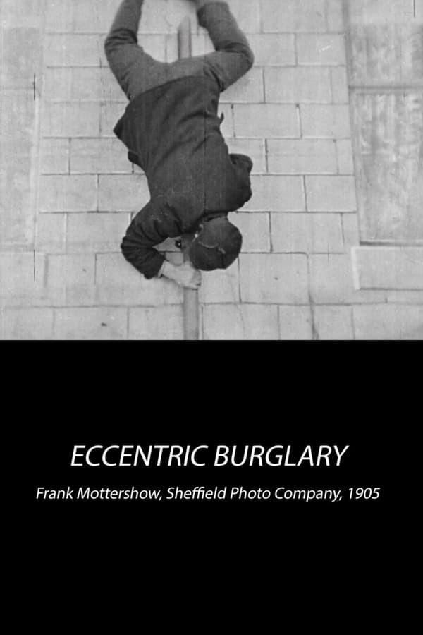 An Eccentric Burglary (S)