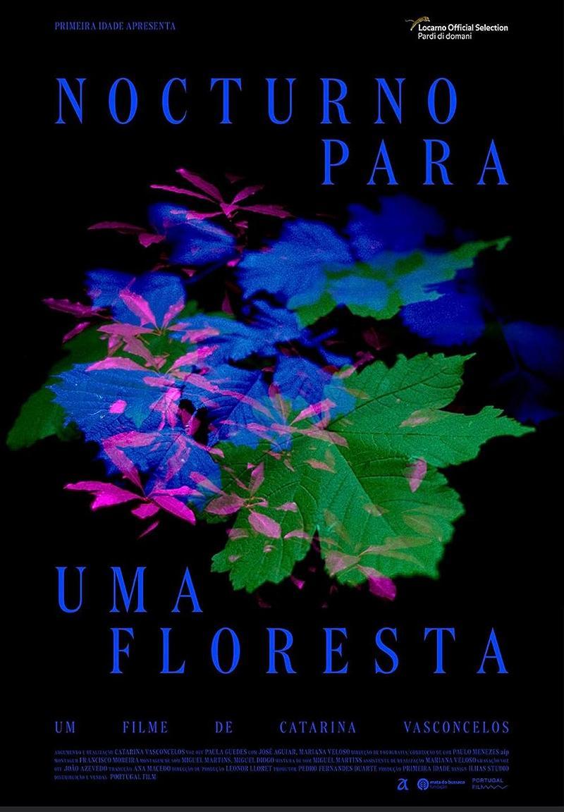 Nocturno para uma floresta (S)