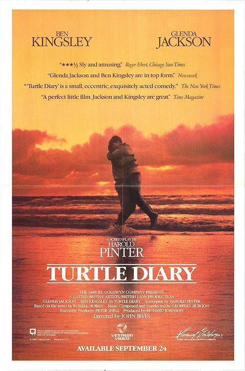 Turtle Diary