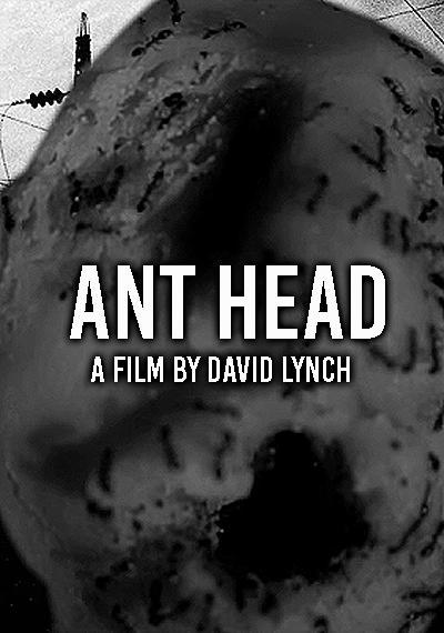 Ant Head (S)