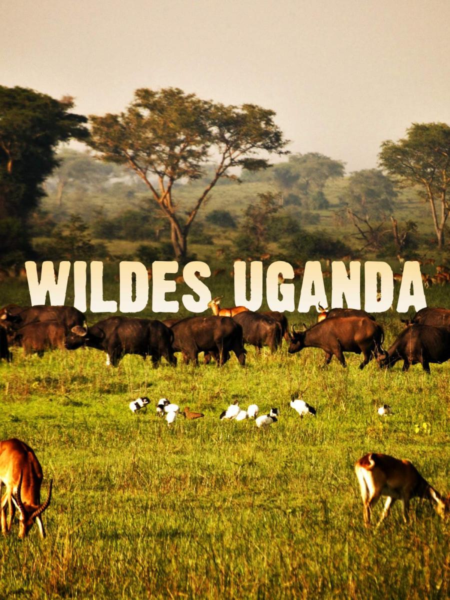 Wildes Uganda