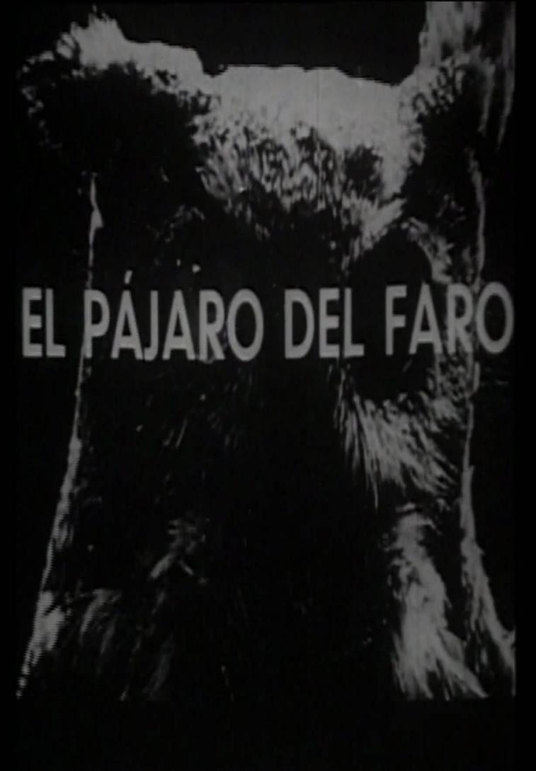 El pájaro del faro