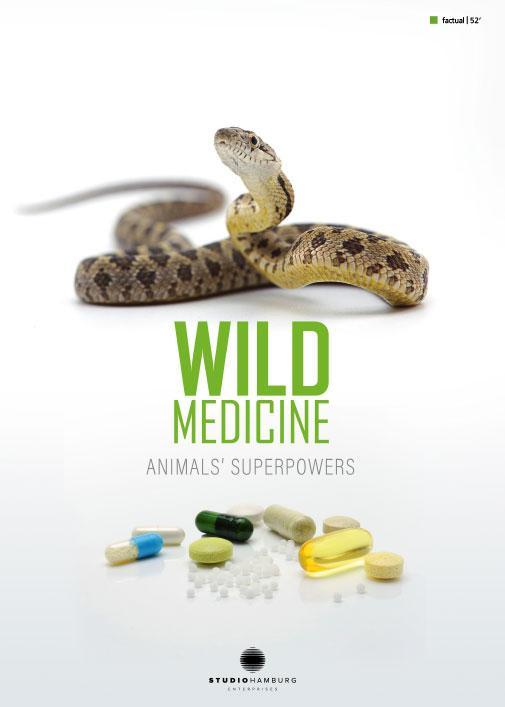 Medicina silvestre: Superpoderes de los animales