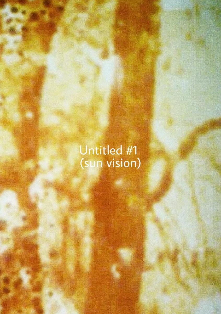 Untitled #1 (Sun Vision)