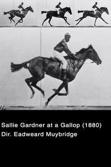 Sallie Gardner at a Gallop (C)