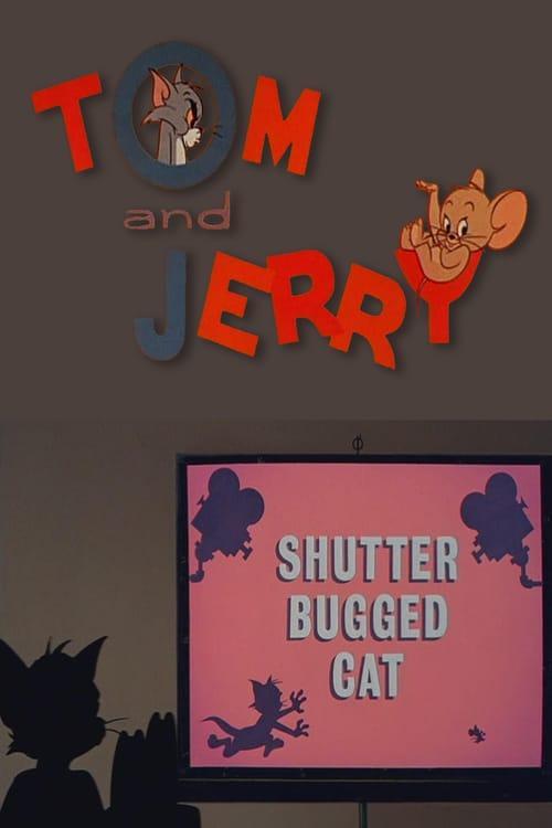 Tom y Jerry: Shutter Bugged Cat (C)