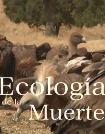 Ecología de la muerte (S)