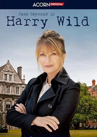 Harry Wild (TV Series)