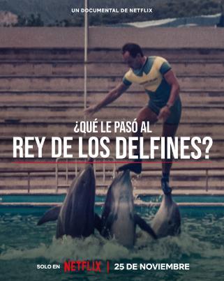 ¿Qué le pasó al rey de los delfines?