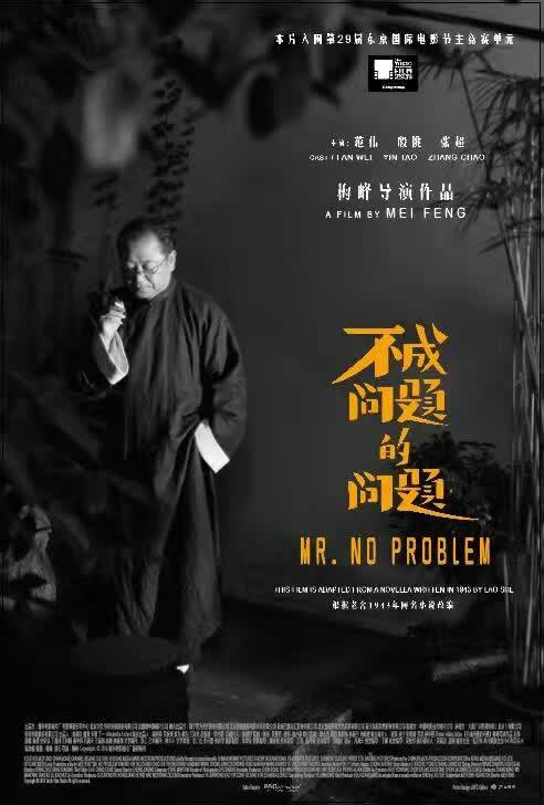 Mr. No Problem