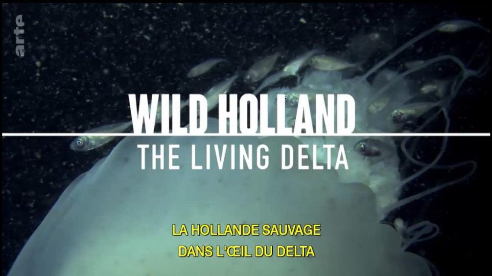 Wild Holland (Miniserie de TV)