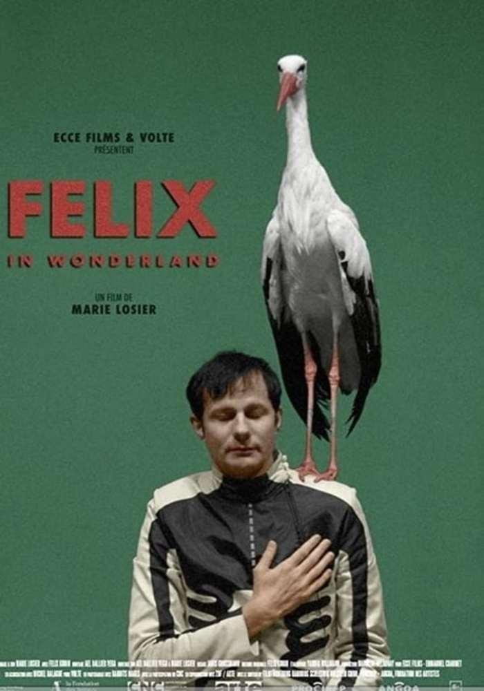Felix in Wonderland