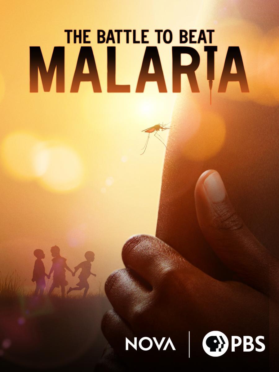 La batalla contra la malaria