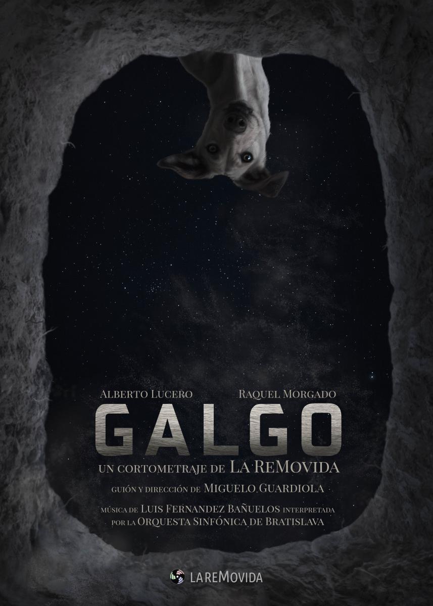 Galgo (C)