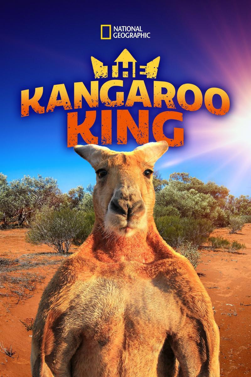 Big Red: The Kangaroo King