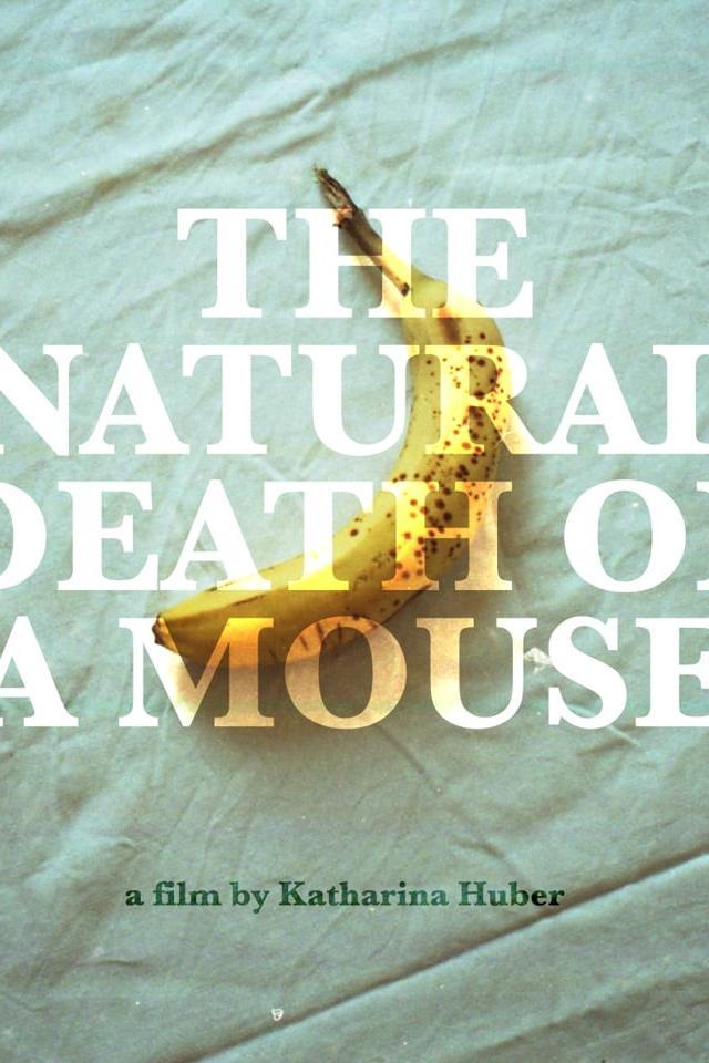 The Natural Death of a Mouse (C)