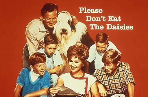Please Don't Eat the Daisies (TV Series)