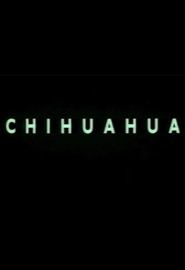 Chihuahua (S)
