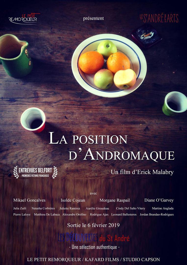 La position d'Andromaque