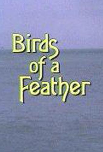 Murder, She Wrote: Birds of a Feather (TV)