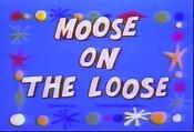 Moose on the Loose (C)