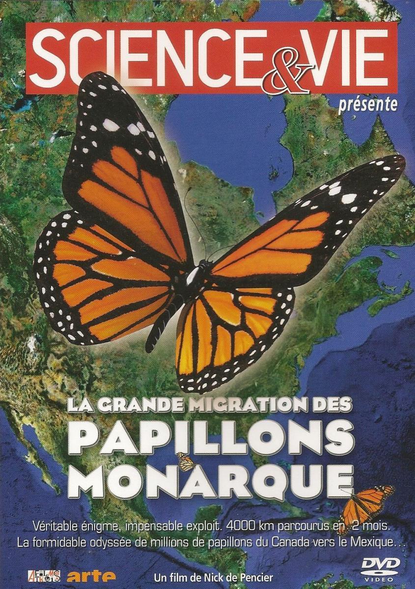 La grande migration des papillons monarque (TV)