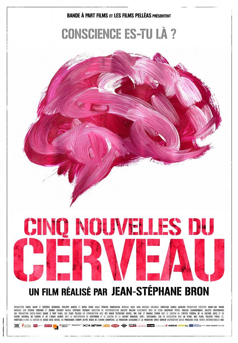 Cinq nouvelles du cerveau