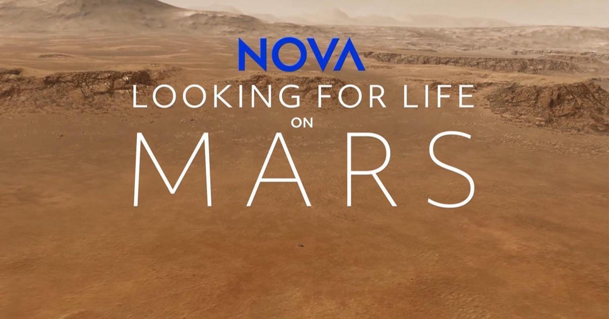 Looking for Life on Mars