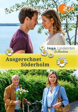 Inga Lindström: Ausgerechnet Söderholm (TV)