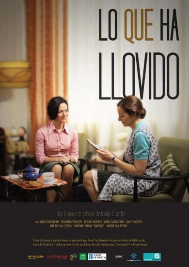 Lo que ha llovido (TV)