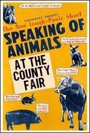 Speaking of Animals at the County Fair (C)
