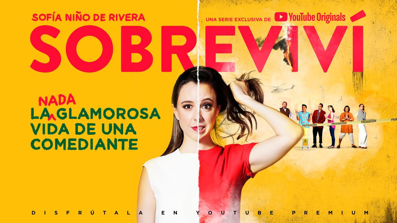 Sobreviví (Serie de TV)