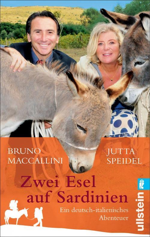 Zwei Esel auf Sardinien (TV)