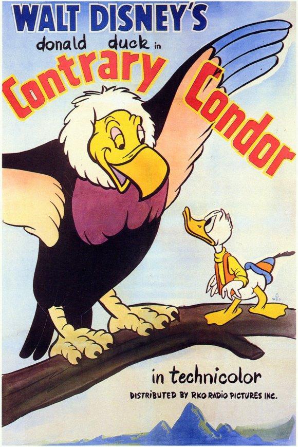 Pato Donald: Cóndor contradictorio (C)