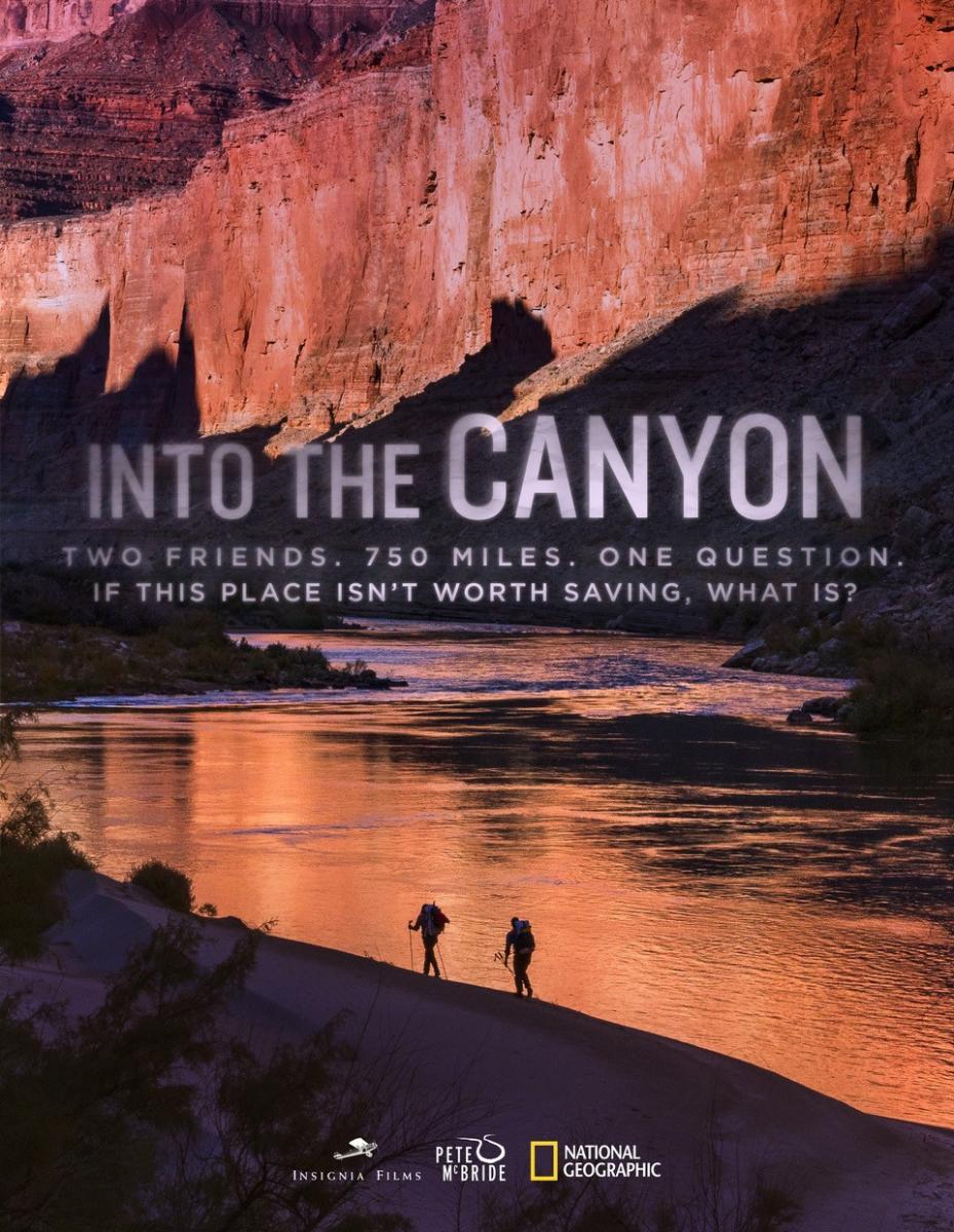 Into the Canyon