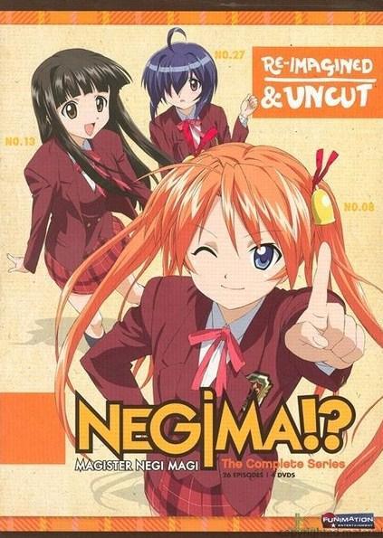 Negima!? (TV Series)