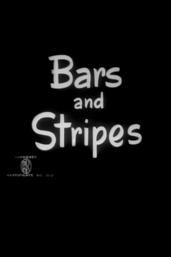 Bars and Stripes (S)