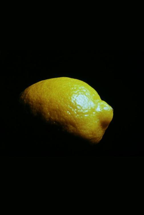 Lemon (S)
