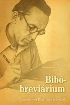 A Bibo Reader