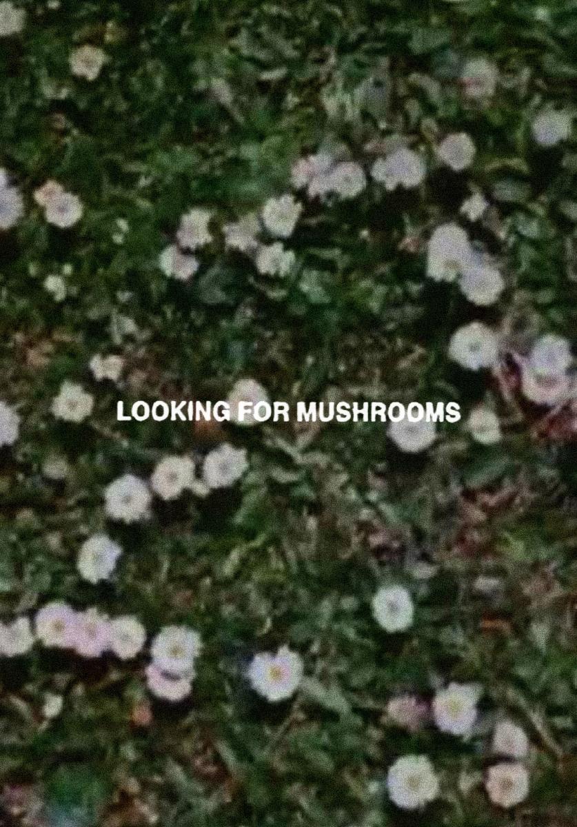 Looking for Mushrooms (S)