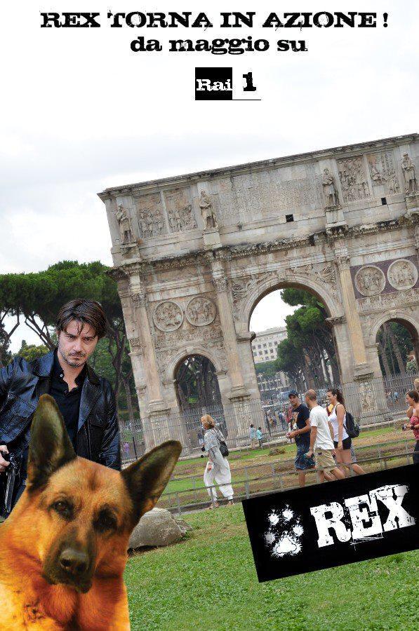 Rex (TV Series)