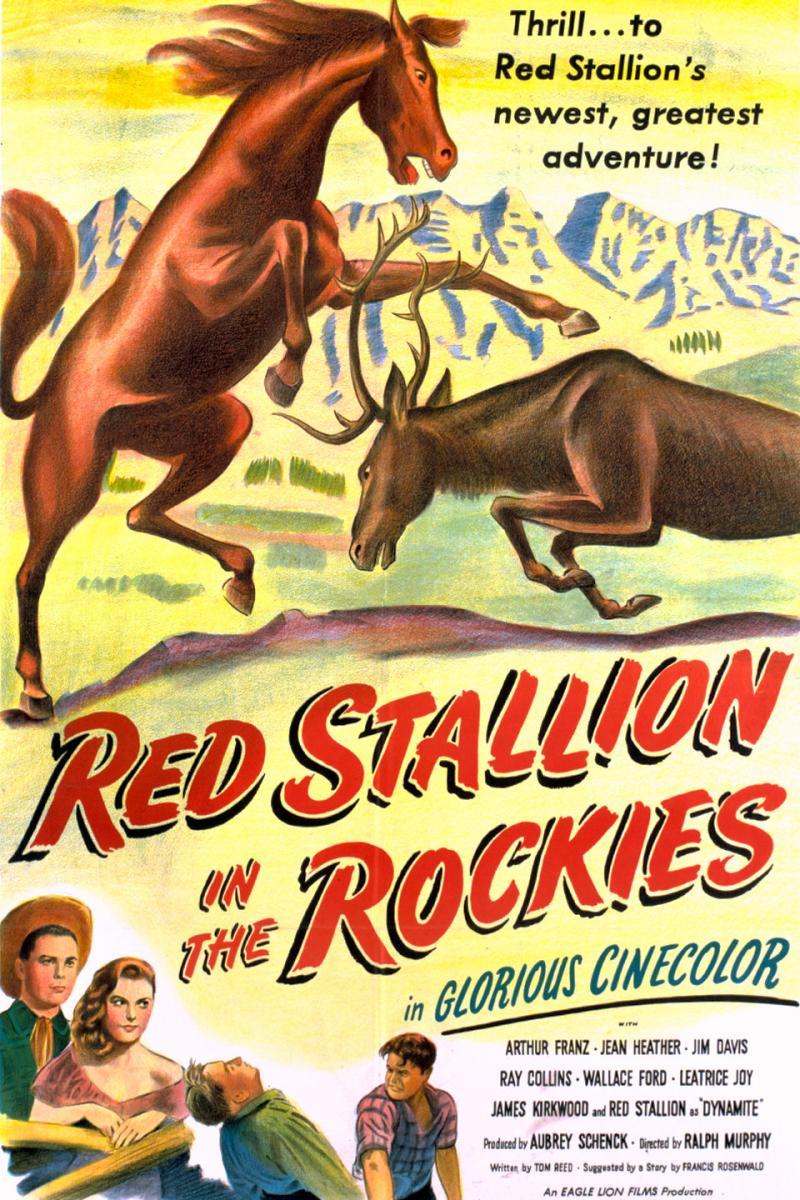 Red Stallion in the Rockies