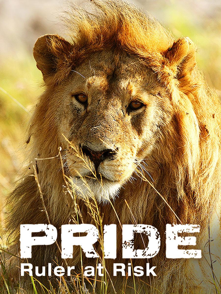 Pride - Ruler's at Risk