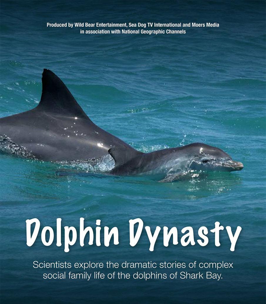 La dinastía del delfín